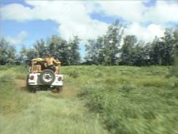 Land Speed
